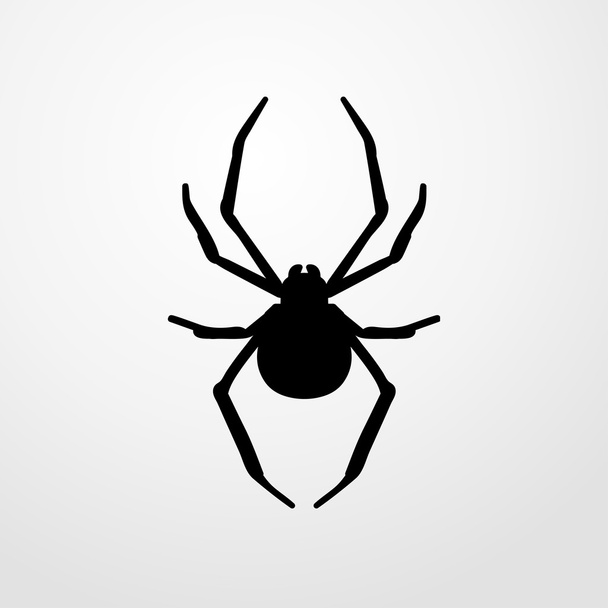 spider icon. spider sign - Vettoriali, immagini