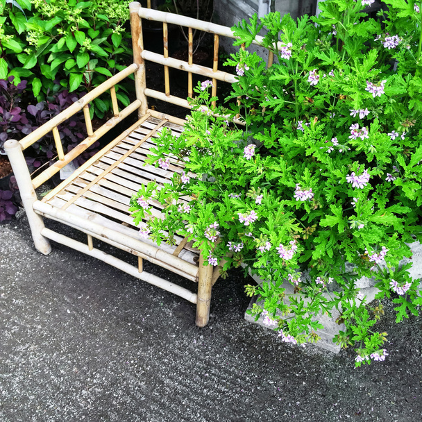 Bamboo chair and blooming plants - Photo, Image