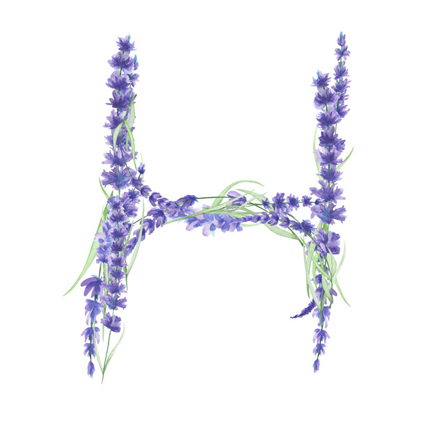 水彩ラベンダーの花の大文字H、白い背景に描かれた孤立した手、結婚式のデザイン - 写真・画像