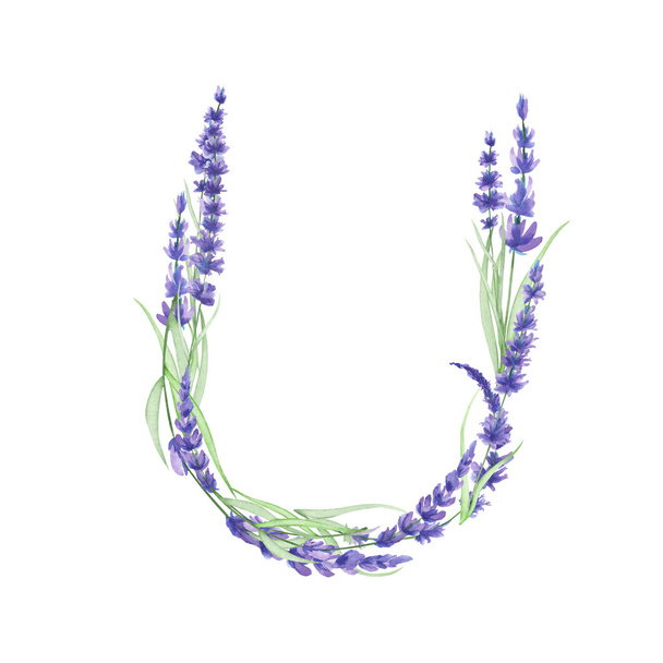 水彩ラベンダーの花の大文字U、白い背景に描かれた孤立した手、結婚式のデザイン - 写真・画像