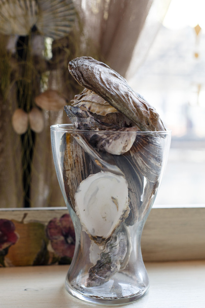 Oyster shells as decoration of the restaurant. - Zdjęcie, obraz