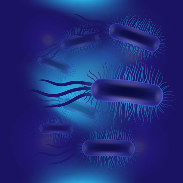 Escherichia coli vírus - Vektor, kép