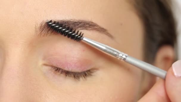 Eyebrow brush makeup - Materiał filmowy, wideo