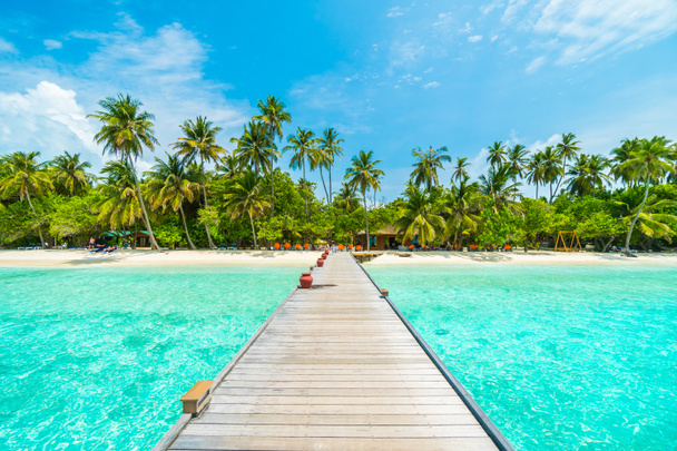Hermosa isla tropical de Maldivas
  - Foto, Imagen