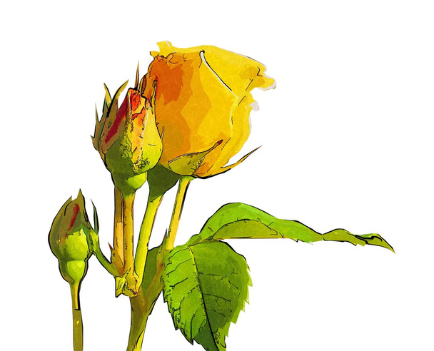 Λουλούδι εικονογράφηση μακροεντολών στυλ απομονωθεί - Φωτογραφία, εικόνα