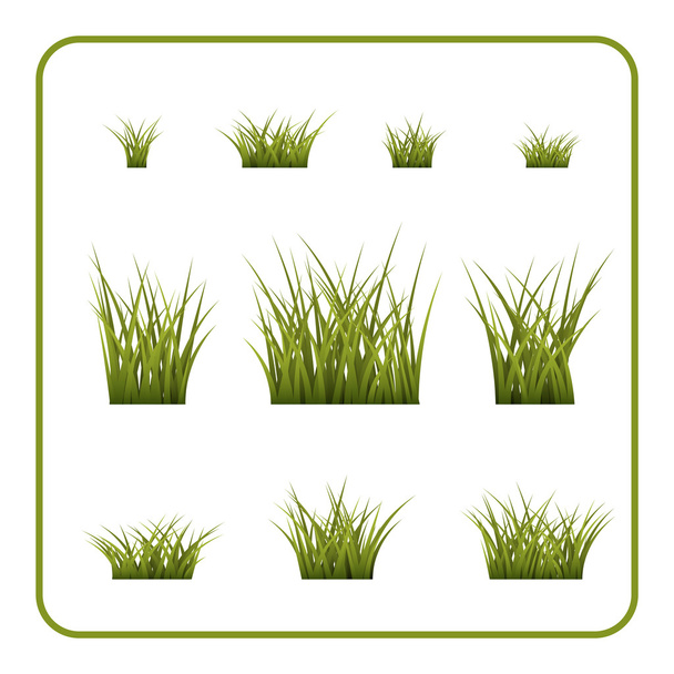 Zöld fű bokrok meg elszigetelt - Vektor, kép