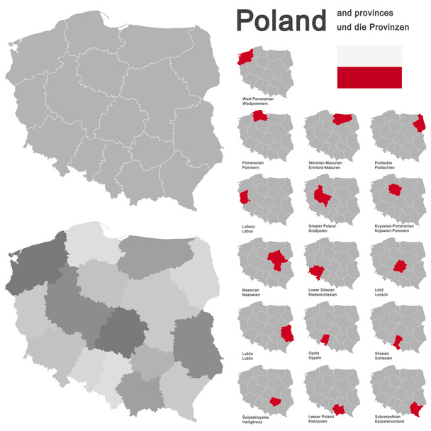 country Poland and voivodeships - Vector, Image