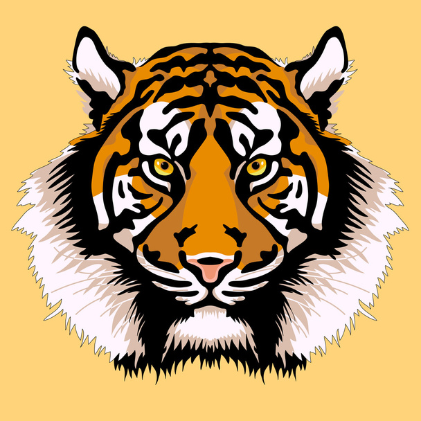 лицо взрослого тигра
 - Вектор,изображение