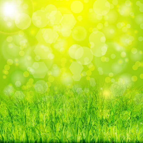 grüne Sommer Hintergrund mit Gras - Vektor, Bild