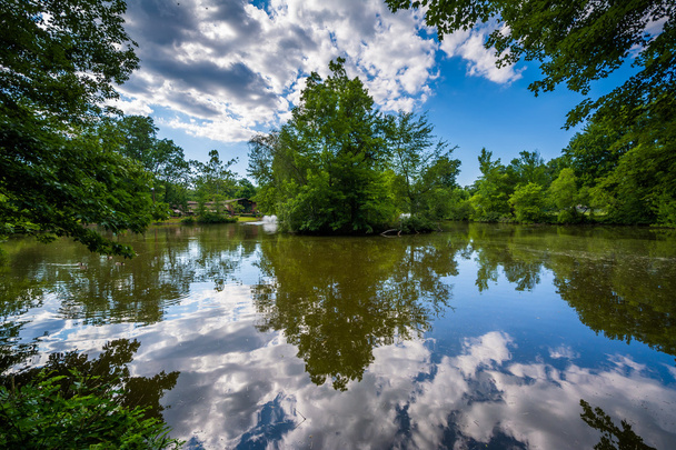 Pond at Elizabeth Park, in Hartford, Connecticut. - Фото, зображення