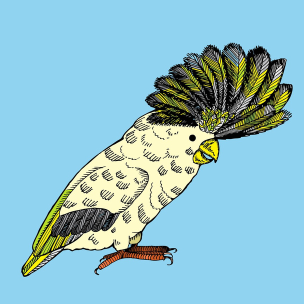 Parrot with pappus - Vector, Image