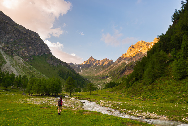 Backpacker hiking in idyllic landscape. Summer adventures and exploration on the Alps. Stream flowing through blooming meadow and green woodland set amid high altitude mountain range at sunsets. Valle - Photo, Image
