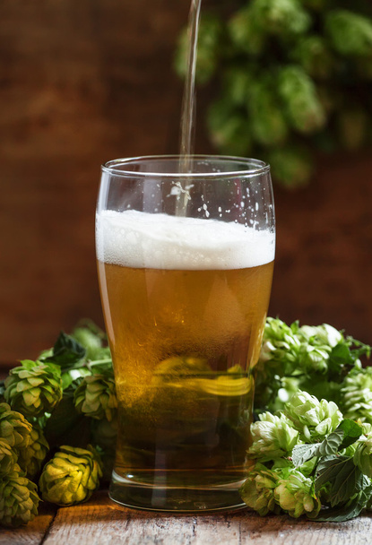 glass of foamy beer and hop cones   - Zdjęcie, obraz