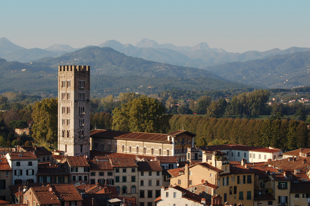 Lucca Cathedral and panorama - Photo, Image