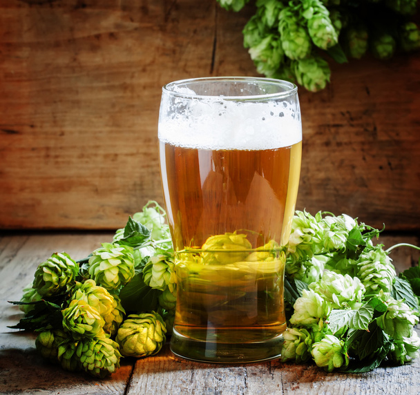 glass of foamy beer and hop cones   - Foto, Imagem