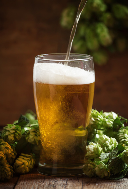 glass of foamy beer and hop cones   - 写真・画像