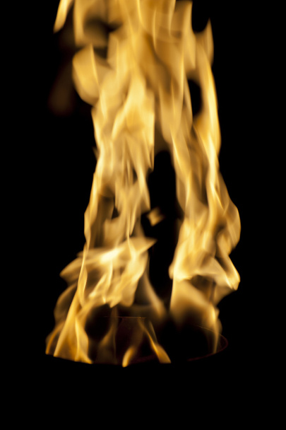 Flames - Photo, Image