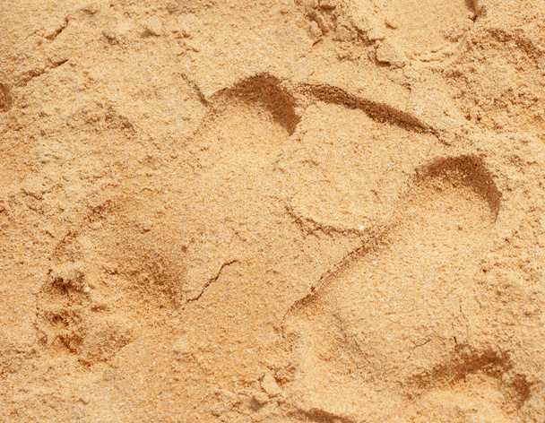 texture du fond de sable de plage - Photo, image