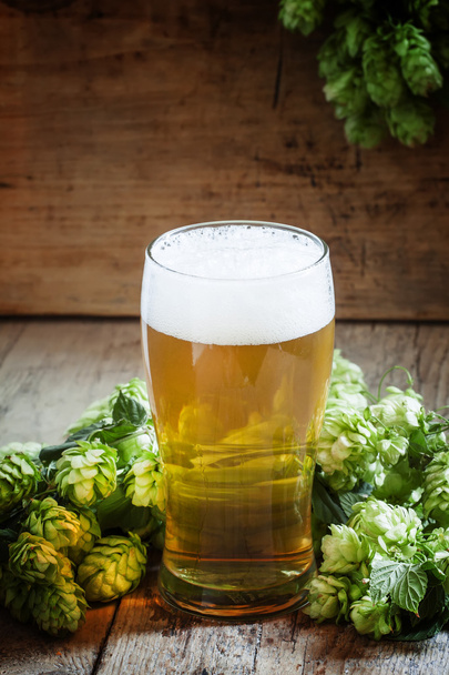 glass of foamy beer and hop cones   - Zdjęcie, obraz