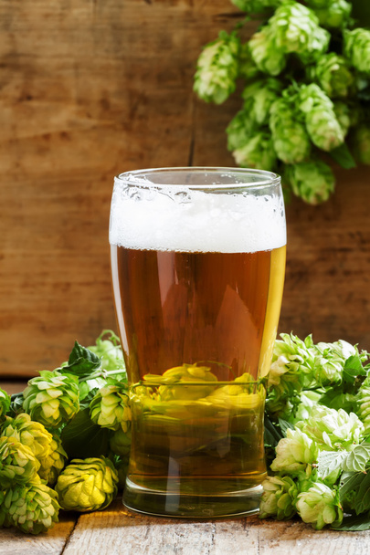 glass of foamy beer and hop cones   - Фото, зображення