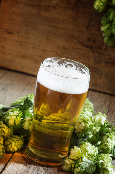 glass of foamy beer and hop cones   - Fotografie, Obrázek