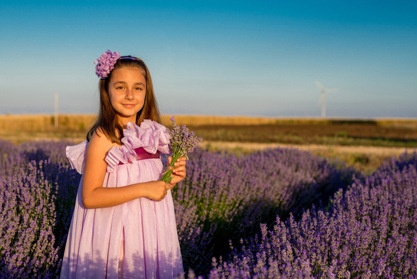 Little girl in a field of lavender - Φωτογραφία, εικόνα