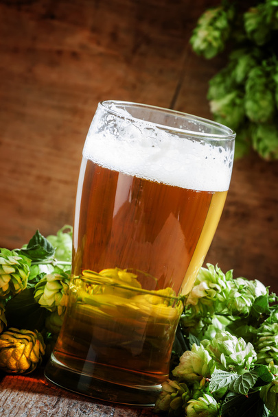 glass of foamy beer and hop cones   - Fotó, kép