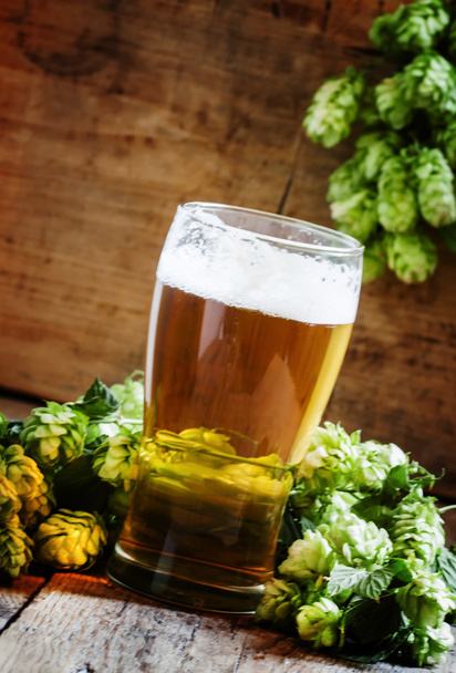 glass of foamy beer and hop cones   - Fotografie, Obrázek