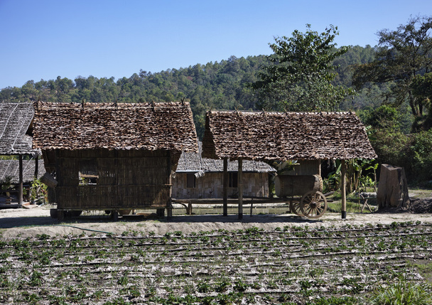 Thailand, chiang mai, Blick auf das karen long neck hill tribe village - Foto, Bild