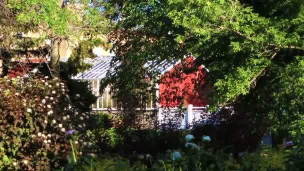 Rotes Gewächshaus im Hintergrund eines Stadtparks  - Filmmaterial, Video