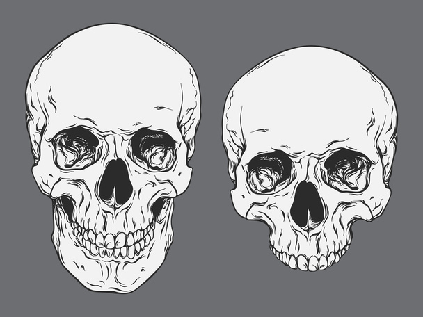 Arte de línea dibujado a mano cráneos humanos anatómicamente correctos conjunto ilustración vectorial aislado
 - Vector, imagen