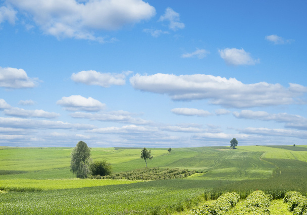 rurale landschap met groene heuvel en blauwe hemel in Polen - Foto, afbeelding