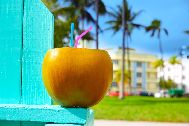Miami South Beach 2 straws coconut Florida - Photo, Image