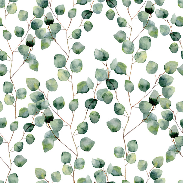 Watercolor green floral seamless pattern with eucalyptus round leaves. Hand painted pattern with branches and leaves of silver dollar eucalyptus isolated on white background. For design or background - Photo, Image