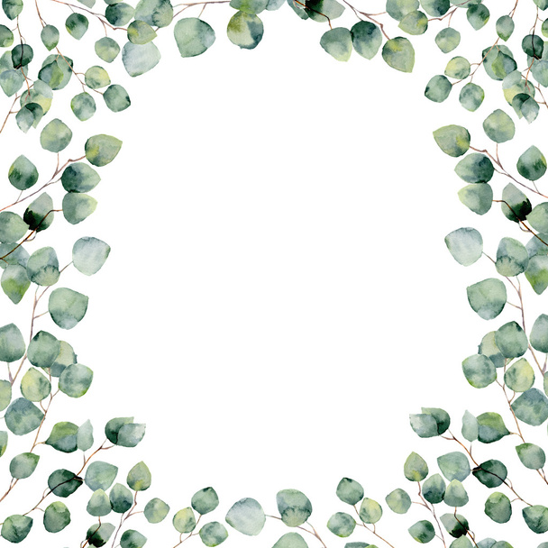 Vesiväri vihreä kukka runko kortti eukalyptus pyöreitä lehtiä. Käsin maalattu raja oksat ja lehdet hopean dollarin eukalyptus eristetty valkoisella pohjalla. Suunnittelua tai taustaa varten
 - Valokuva, kuva
