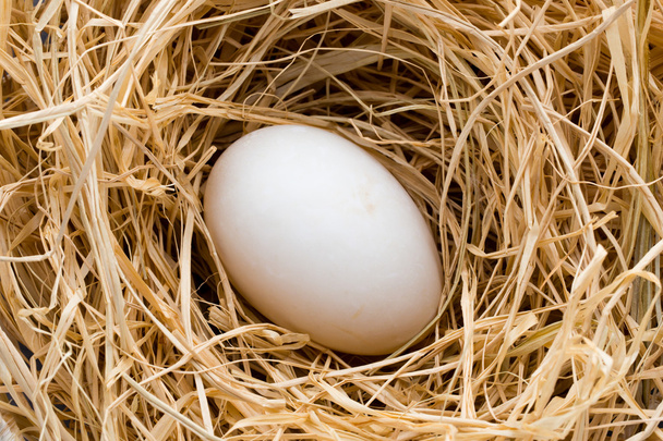 Duck eggs nest, spring Easter symbol. - Foto, imagen