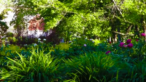 Invernadero rojo en un jardín
 - Metraje, vídeo