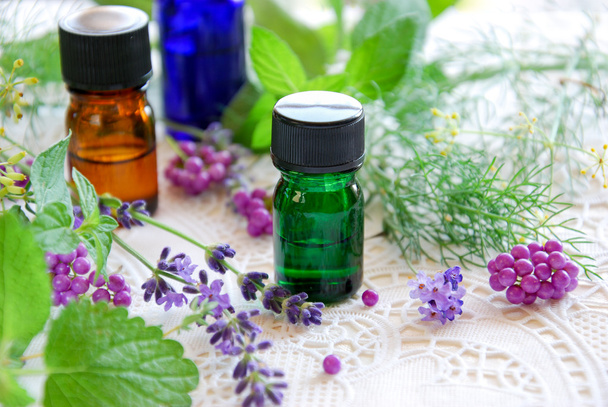 essential oils with herbs - Photo, Image