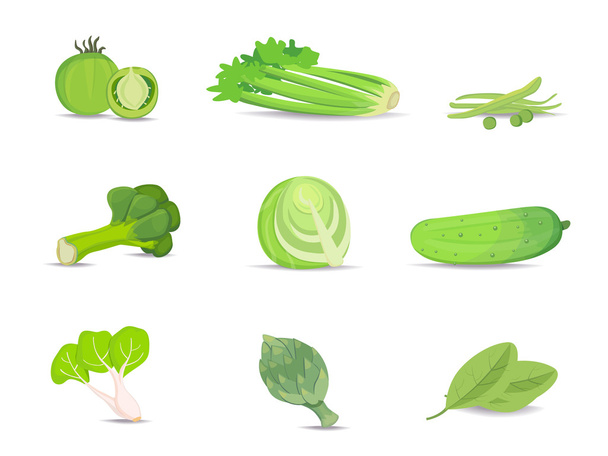 Ensemble de légumes verts collection vectorielle
. - Vecteur, image