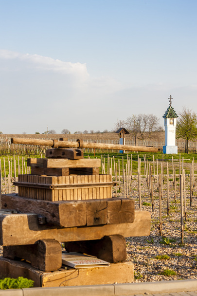 вино преси і узбіччі з виноградник поблизу Velke Bilovice - Фото, зображення