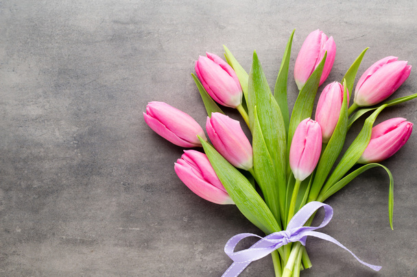 Tulip pink, on the gray background. - Фото, зображення