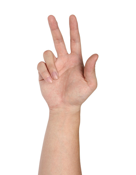 Hand gesture isolated on white background - Photo, Image