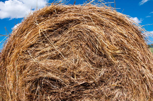 Closeup of a haystack on blue sky - Photo, Image
