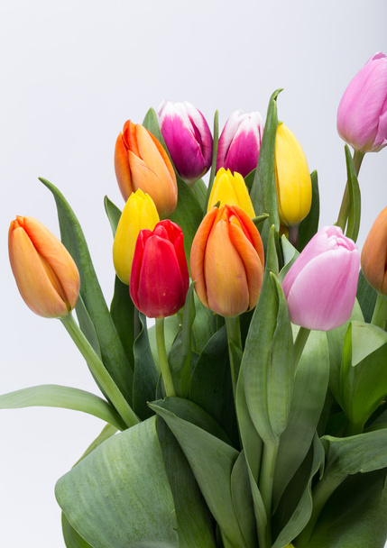 colorful bouquet of fresh spring tulip flowers - 写真・画像
