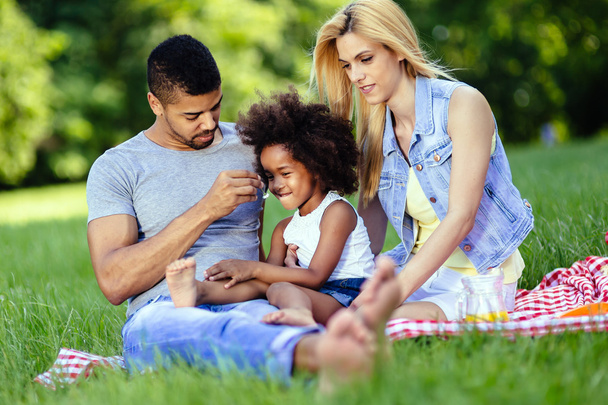 Family enjoying picnic outing - Фото, изображение