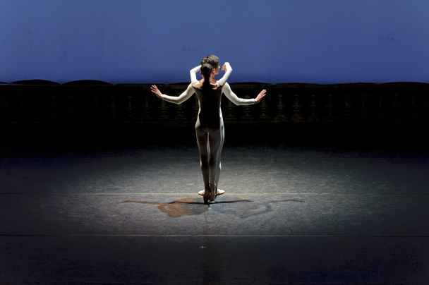 pretty ballet dancer - Foto, Bild
