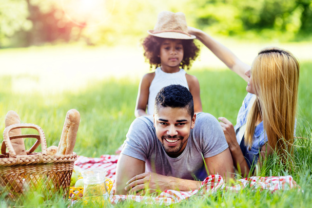 Family enjoying picnic outing - Foto, afbeelding