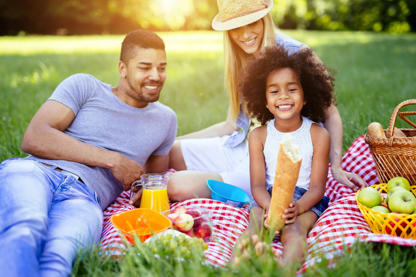 Family picnicking outdoors - Foto, Imagem