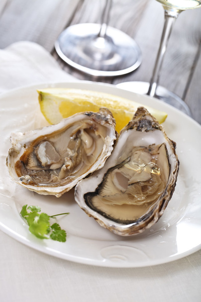Fresh oysters - Fotoğraf, Görsel