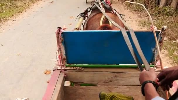 Blick vom laufenden Pferdewagen in myanmarischer Zeitlupe - Filmmaterial, Video